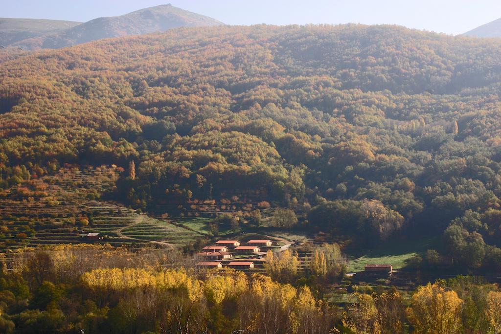 Apartamentos Rurales La Vega Del Jerte Kültér fotó